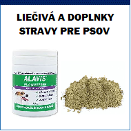 Liečivá a doplnky stravy pre psov